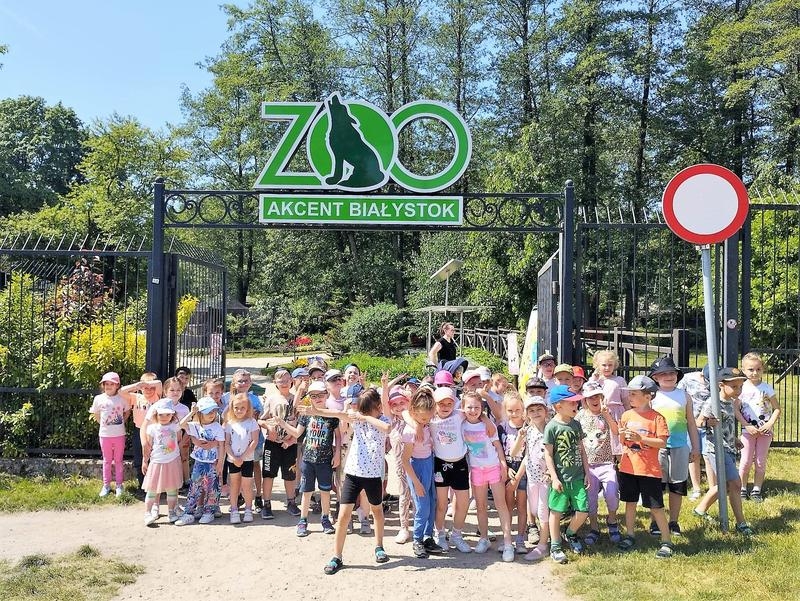 Przedszkolaki spacerują alejkami ogrodu zoologicznego.