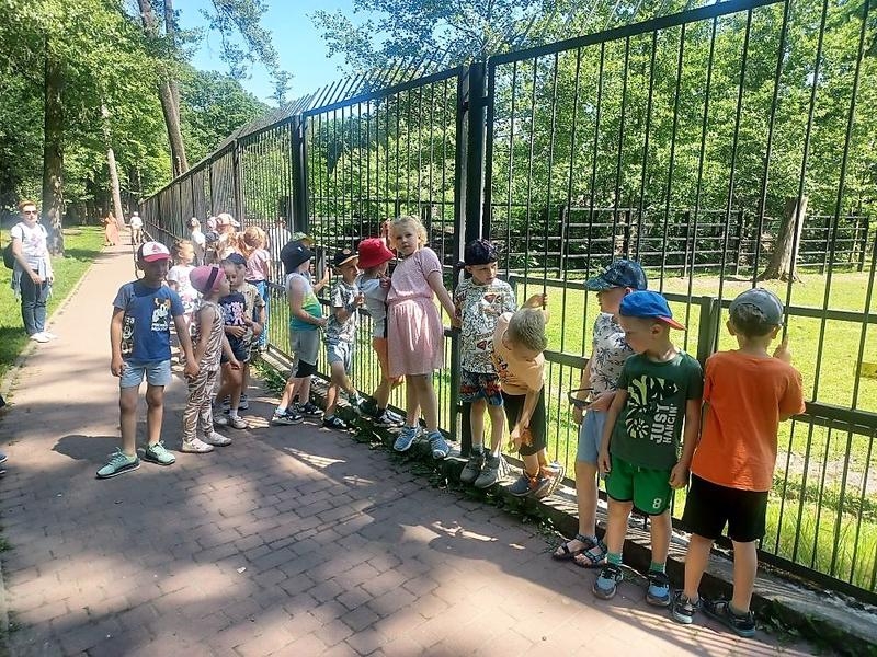 Przedszkolaki spacerują alejkami ogrodu zoologicznego.
