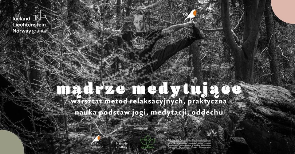 w tle czarno-białe zdjęcie przedstawiające Puszczę Białowieską oraz mężczyznę, na nim logo organizatora oraz programu finansującego, a także napis: Mądrze medytujące. Warsztat metod relaksacyjnych, praktyczna nauka podstaw jogi, medytacji i oddechu