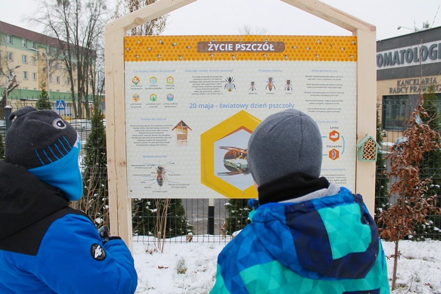 strefa edukacyjna