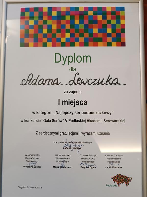 dyplom