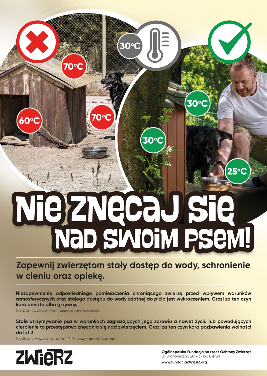 ulotka nie znęcaj się nad swoim psem