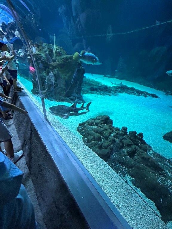 ZOO