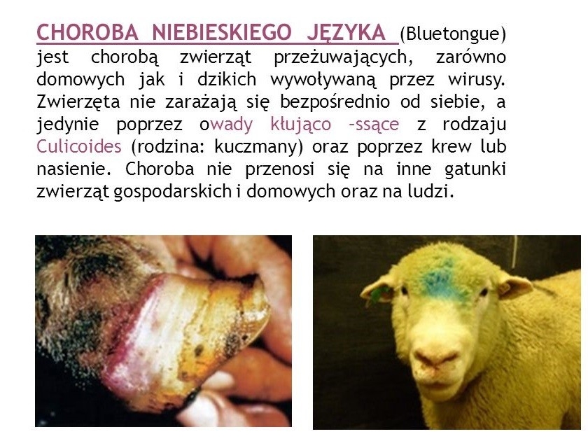 informacja  i grafika tematyczna