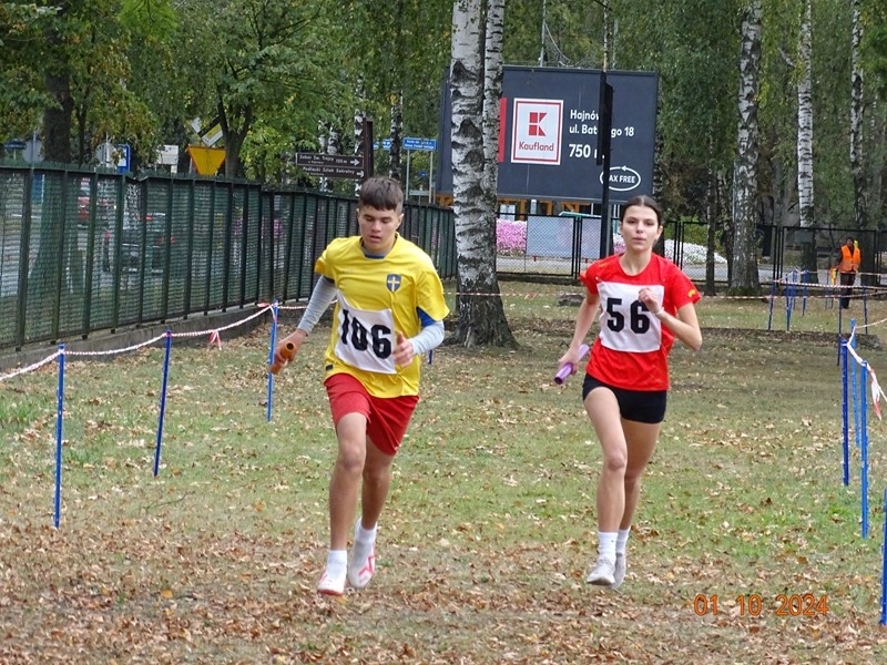 biegi