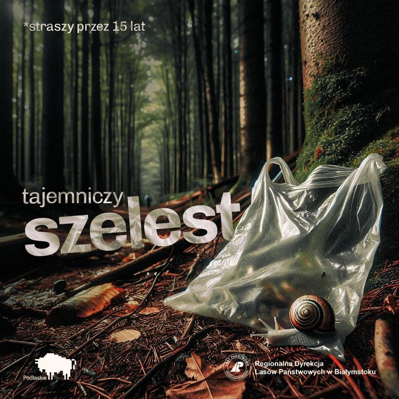 baner tajemniczy szelest