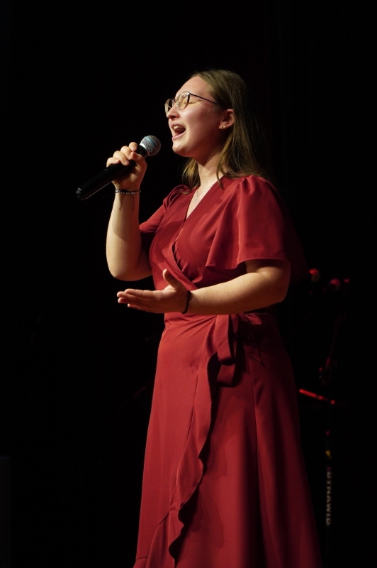 Na zdjęciach widać zespoły występujące na scenie HDK.