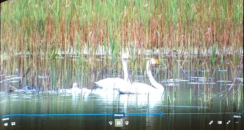 Na zdjęciach widać uczestników spotkania i slajdy przygotowane przez prowadzącego.