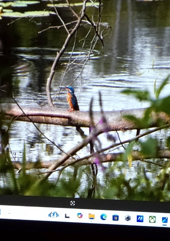 Na zdjęciach widać uczestników spotkania i slajdy przygotowane przez prowadzącego.