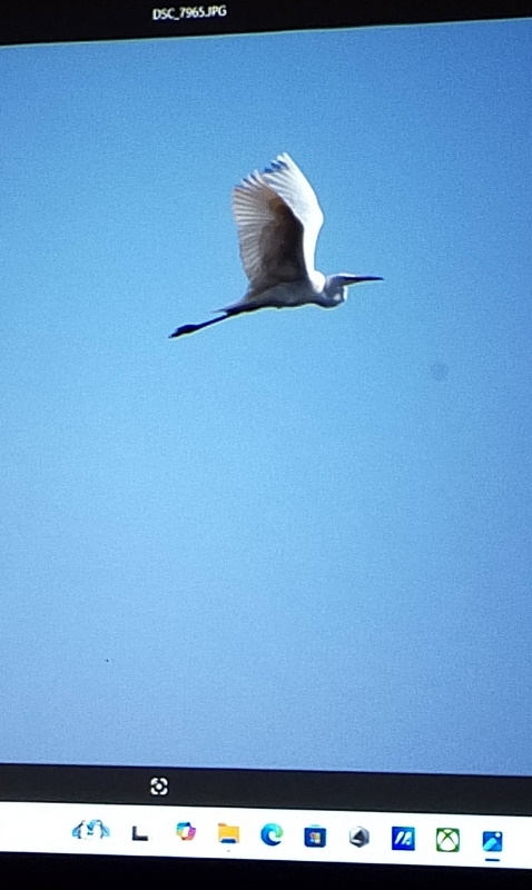 Na zdjęciach widać uczestników spotkania i slajdy przygotowane przez prowadzącego.