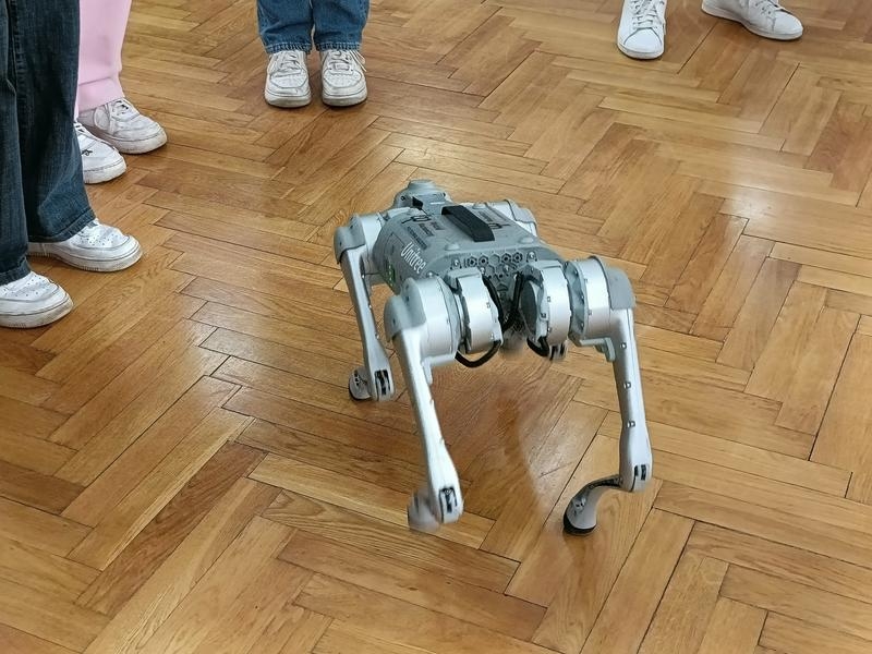 prezentacja robota