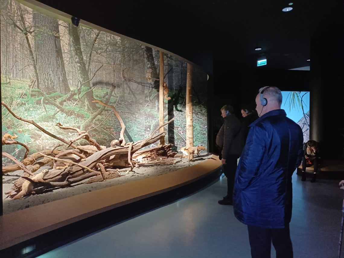członkowie delegacji podczas zwiedzania muzeum w Białowieży