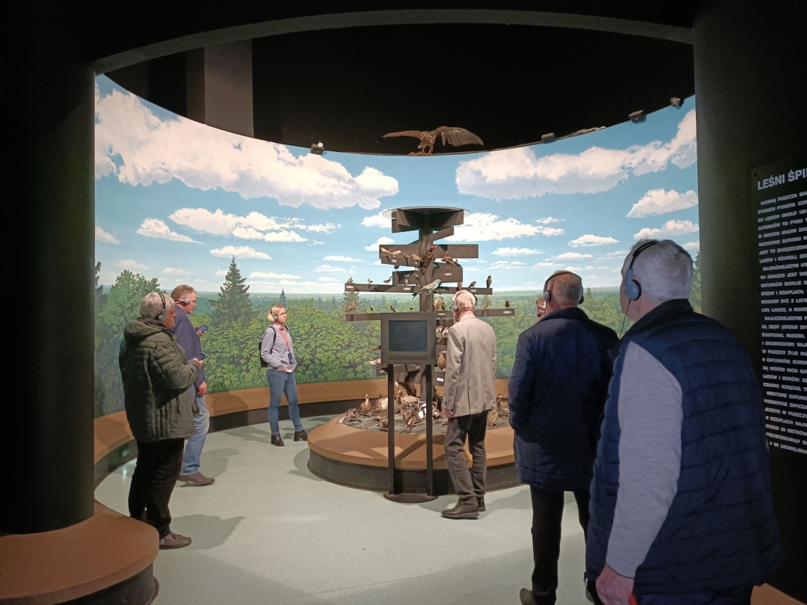 członkowie delegacji podczas zwiedzania muzeum w Białowieży