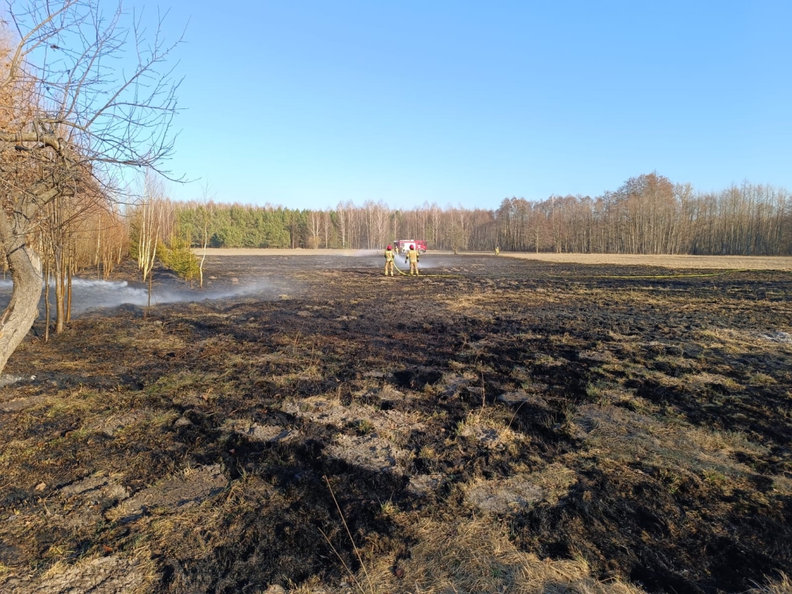 strażak gasi palącą się trawę