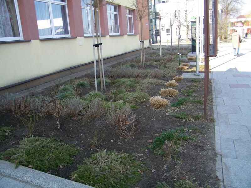 rabata przed Urzędem Miasta Hajnówka