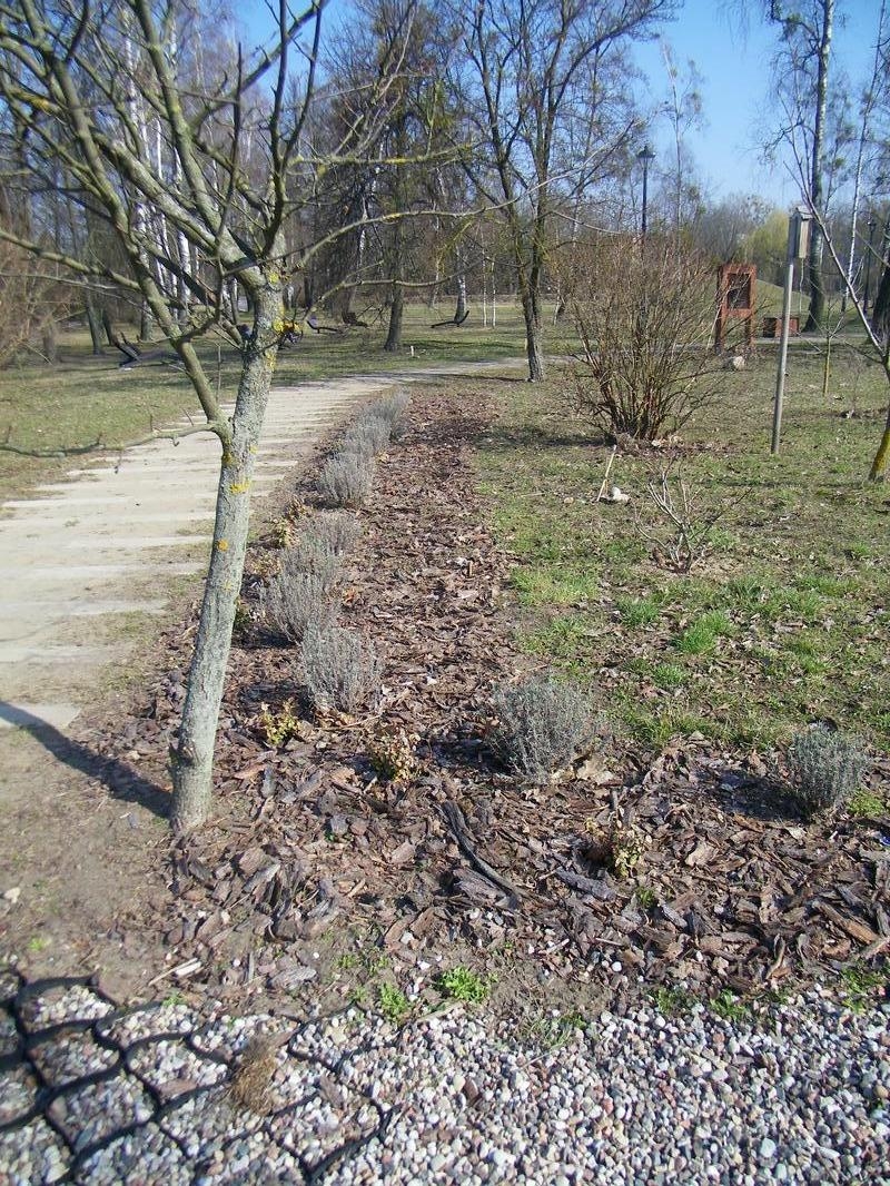 Strefa dobrostanu w parku miejskim