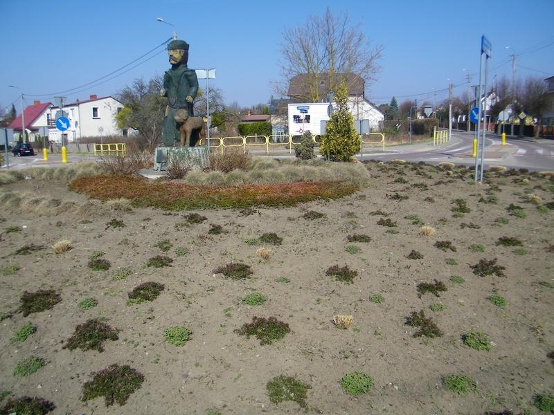 rabata na rondzie Strażników Puszczy białowieskiej
