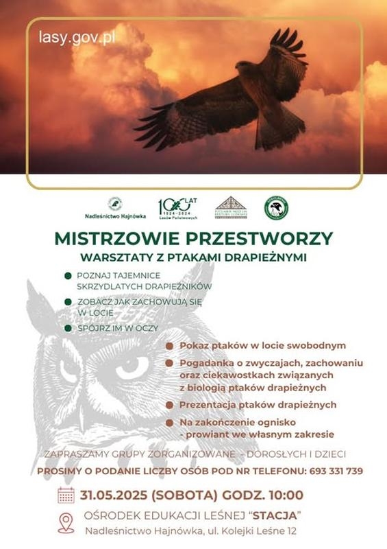 informacje o wydarzeniu, logo organizatora, grafika tematyczna
