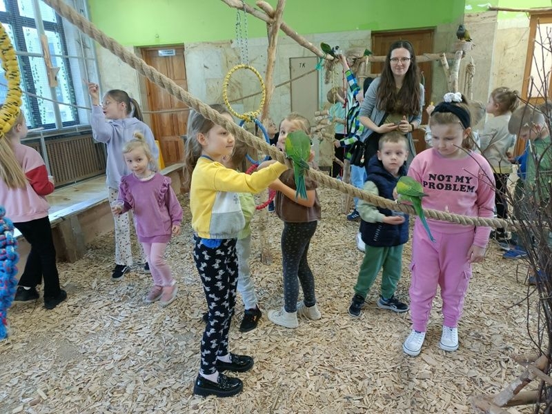 dzieci chodzą wśród papug, obserwują je, karmią