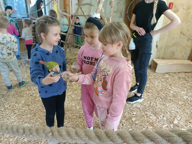 dzieci chodzą wśród papug, obserwują je, karmią