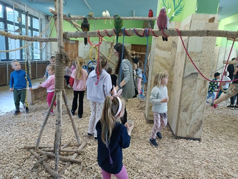 dzieci chodzą wśród papug, obserwują je, karmią