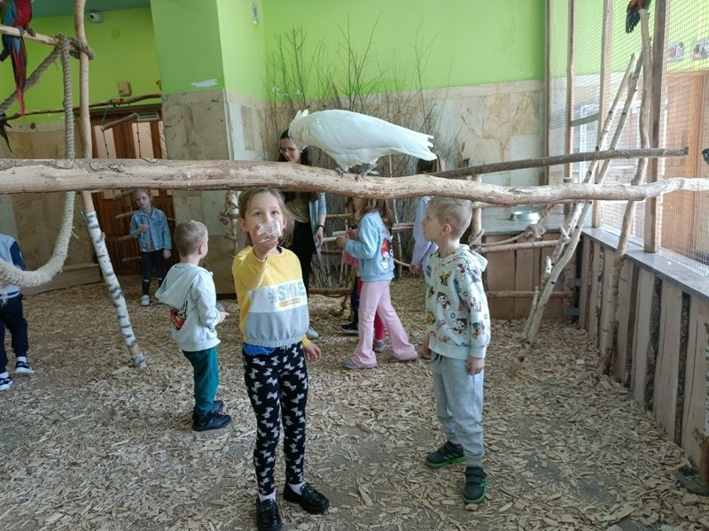 dzieci chodzą wśród papug, obserwują je, karmią