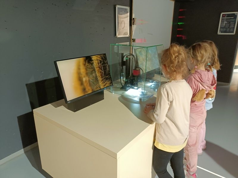 starsze dzieci korzystają z atrakcji wystawy głównej EPI Centrum Nauki