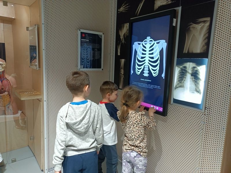 starsze dzieci korzystają z atrakcji wystawy głównej EPI Centrum Nauki