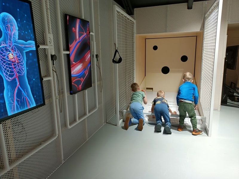 starsze dzieci korzystają z atrakcji wystawy głównej EPI Centrum Nauki