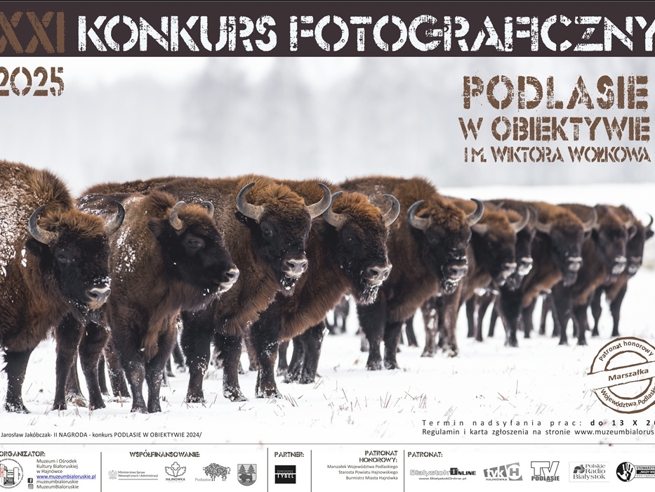 informacje o wydarzeniu, logo organizatora, grafika tematyczna