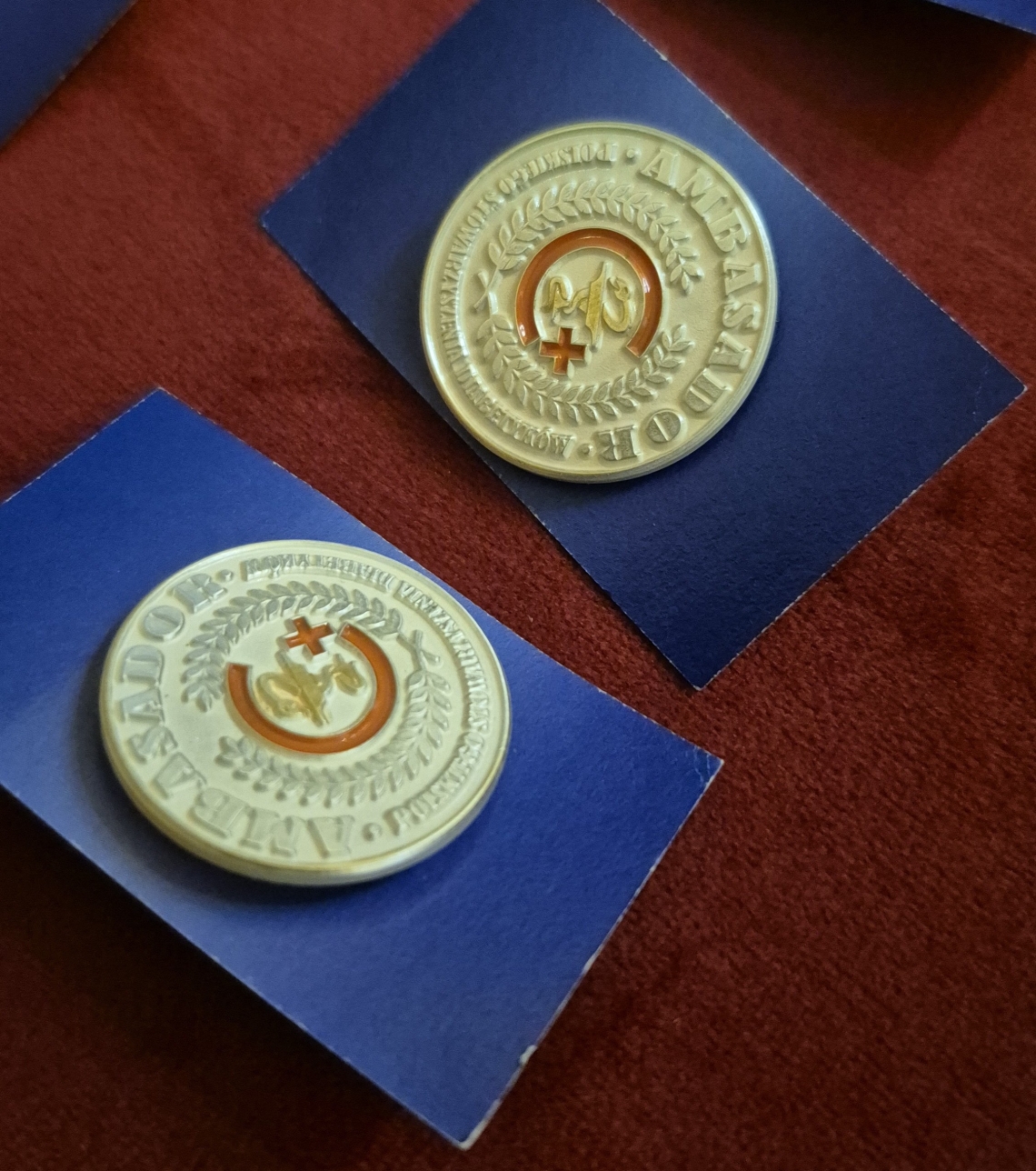 odznaki za zasługi dla organizacji