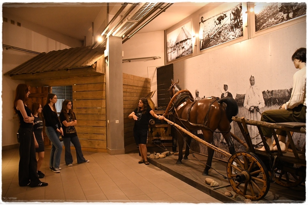 pracownik oprowadza studentki po muzeum