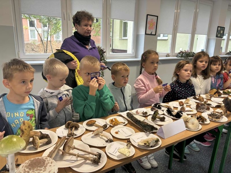 Dzieci, nauczycielki i pani leśnik stoją przy dużym stole, na którym wyeksponowane są różne gatunki grzybów.