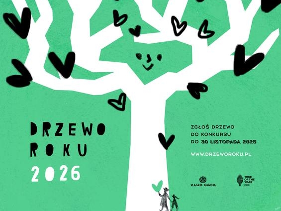 informacje, logo organizatora, grafika tematyczna