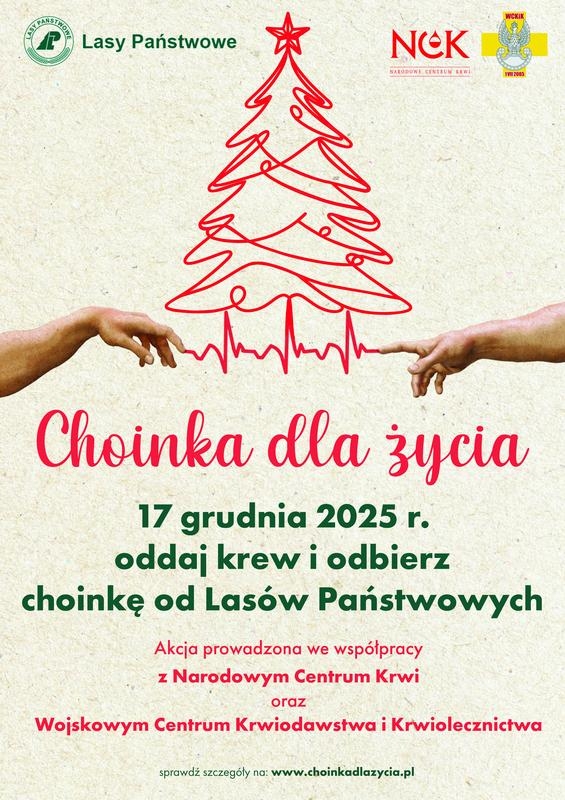 informacje o wydarzeniu, logo organizatora, grafika tematyczna