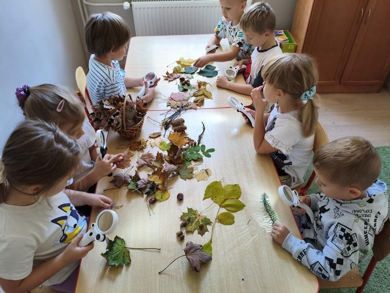 Przedszkole Nr 5 - zajęcia przyrodniczej i ekologicznej
