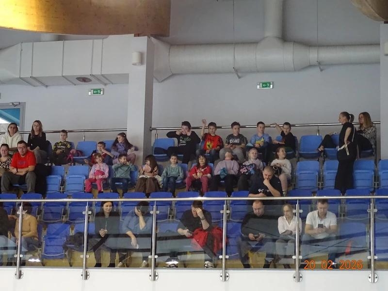 Kibice