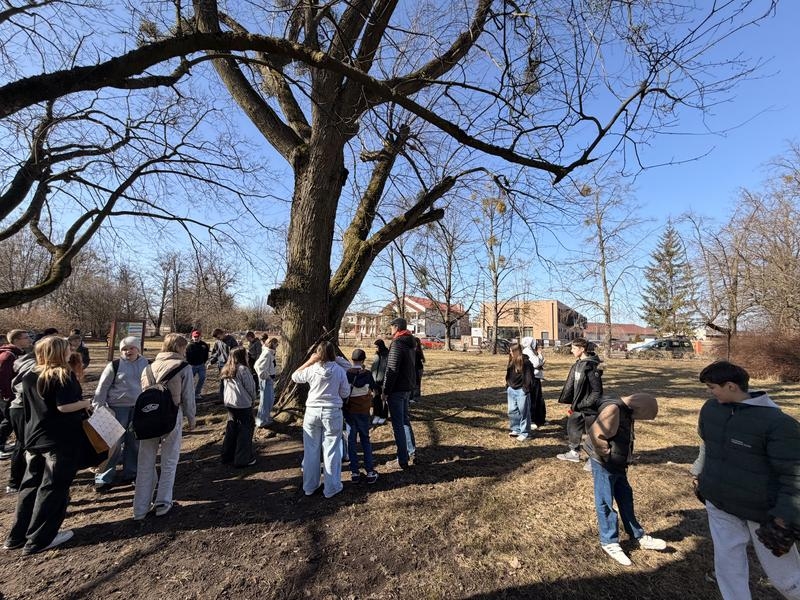 zdjęcie młodzieży w parku