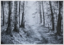 Zdjęcie przedstawia czarno - biały rysunek lasu, pośród drzew wiedzie ścieżka, z jej końca przedostaje się światło.