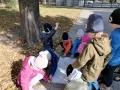 grupa dzieci przy dębie ogląda mapę
