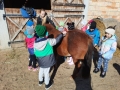 dzieci głaszczą konie