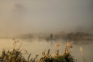 zdjęcie trzeciej nagrody Anna Mystkowska-Pływaczewska z Tomaszkowa; silna mgła unosząca się nad rzeką