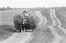zdjęcie wyróżnienia Piotr Krassowski z Białegostoku; czarno-biae zdjęcie furmanka z sianem ciągnięta przez konia jadąca polną drogą