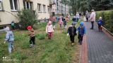 dzieci sprzątają trawniki w okolicach przedszkola