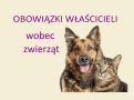 grafika psa i okota oraz mapis OBOWIĄZKI WŁAŚCICIELI wobec zwierząt