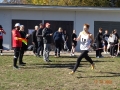 biegi przełajowe