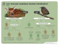 plansza informacyjna cz.2