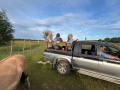 Bezkrwawe safari