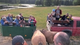 Bezkrwawe safari