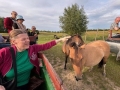 Bezkrwawe safari